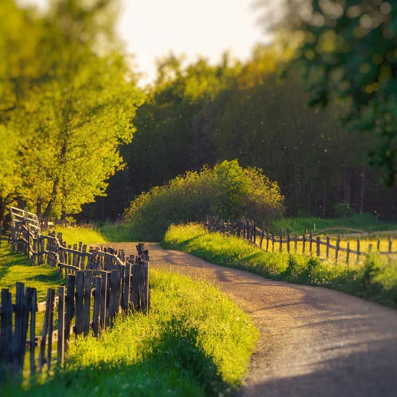 Hansagård Vandrarhem Falkenberg